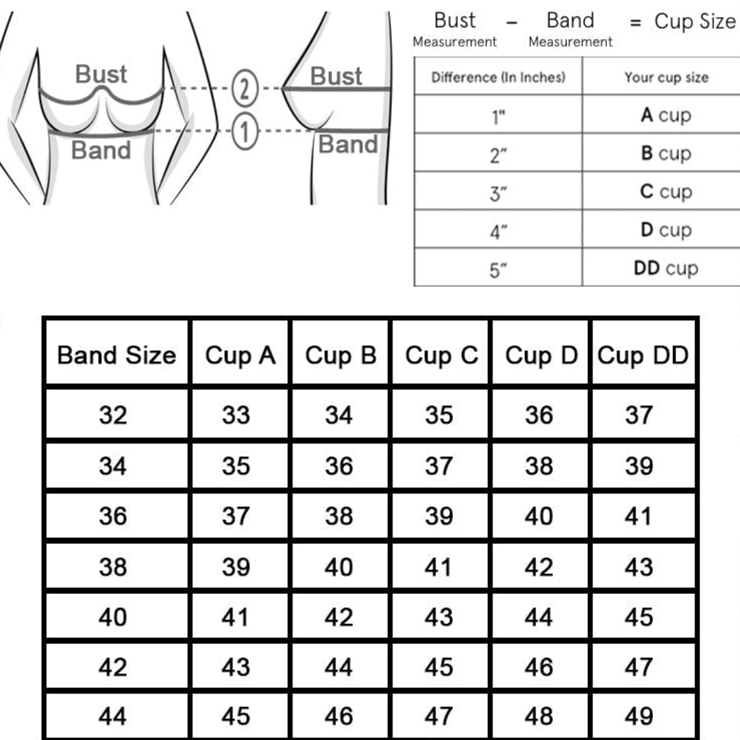 Ladies Seamless Padded Underwire Beautiful Bra Set