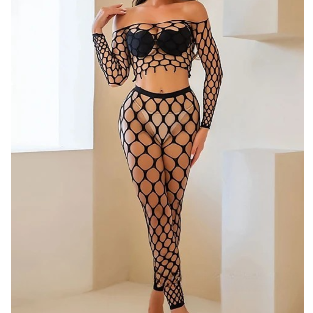 Sheer Elegance Lace & Mesh Bodysuit