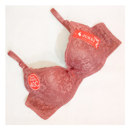 Thin Padded Floral Lace Design Wired Push-up Bra