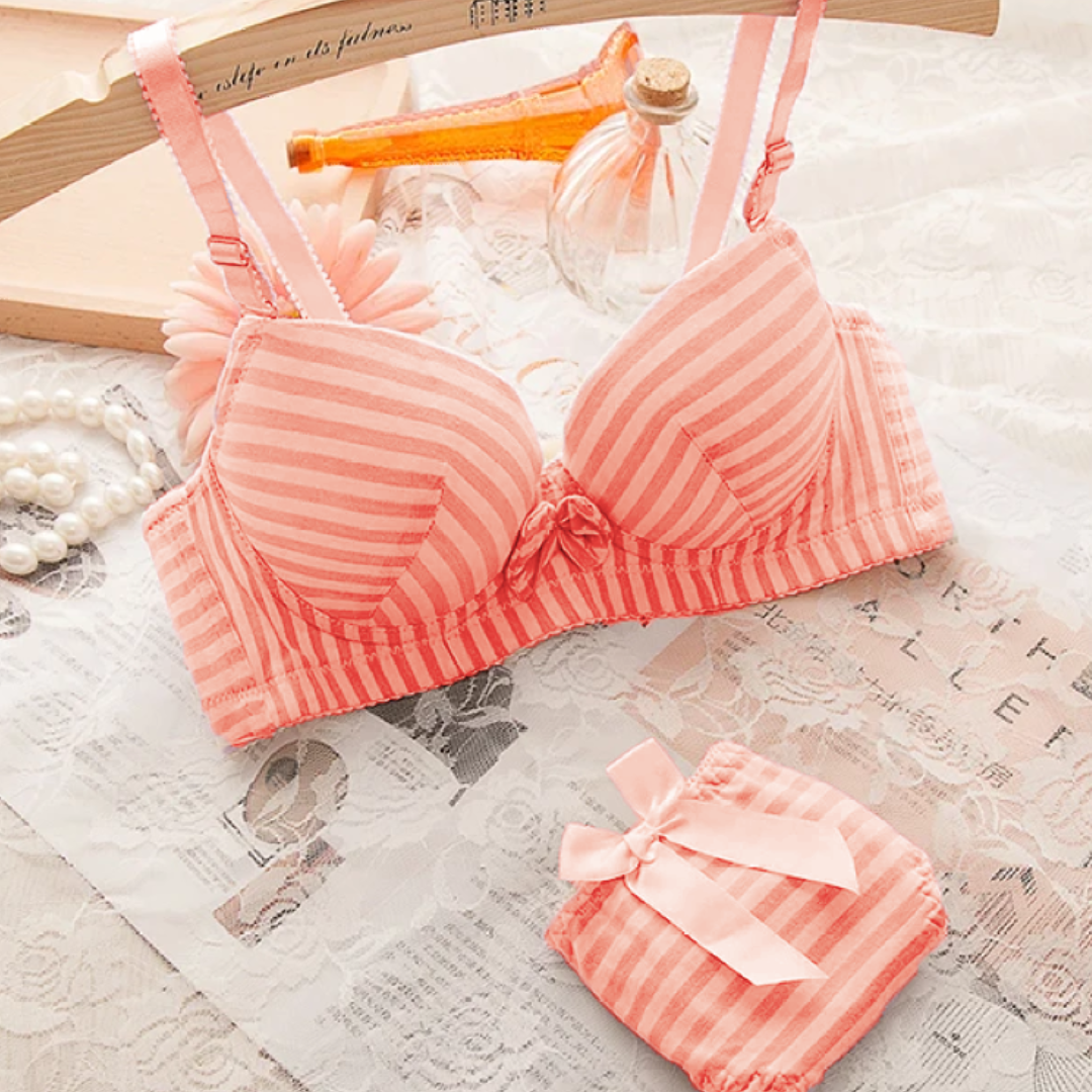 Ladies Seamless Padded Underwire Beautiful Bra Set