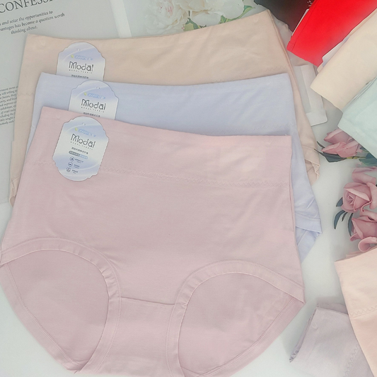 Pack of 2 Simple Designing High Waist Panties