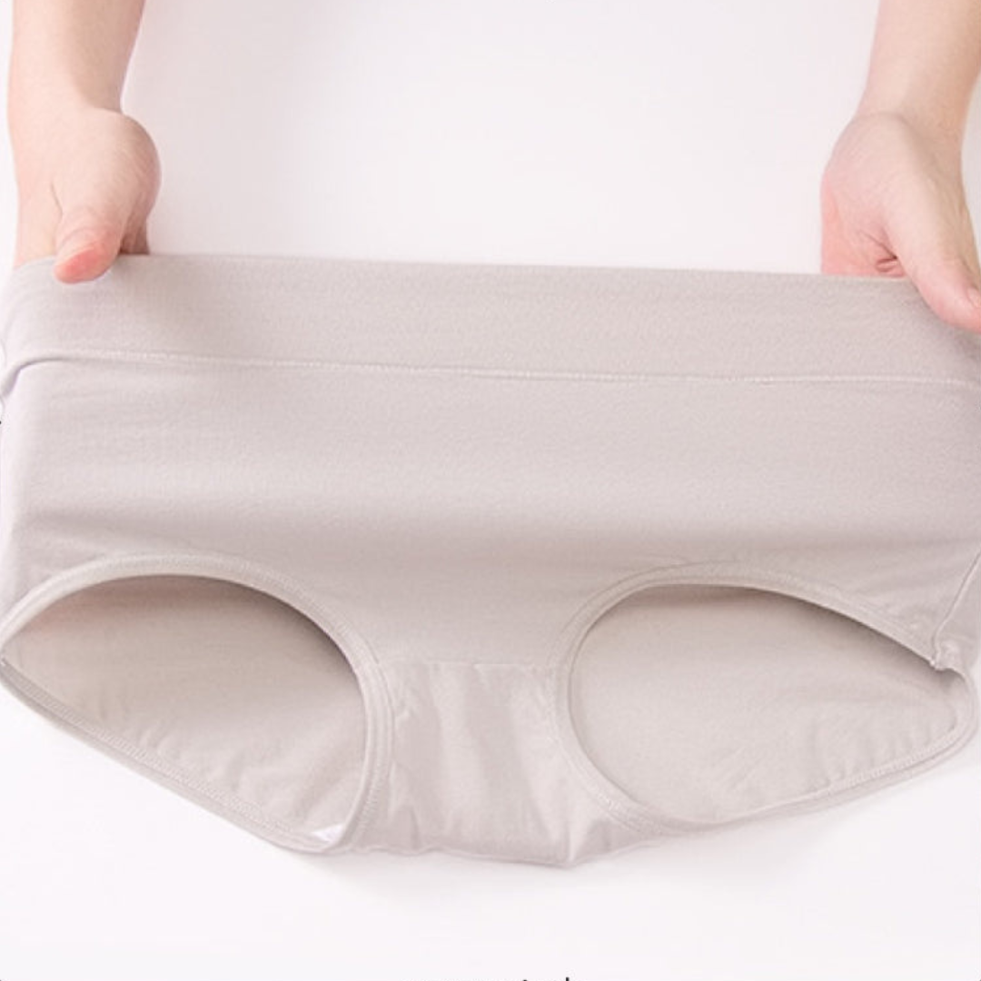 Pack of Comfy Breif Soft Cotton Elegant Panties