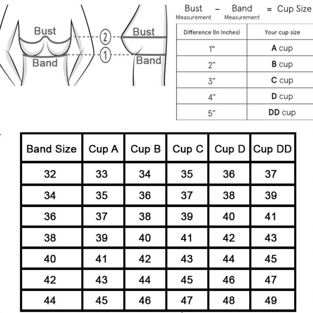 Thin Padded Non Wired Adjustable Bra