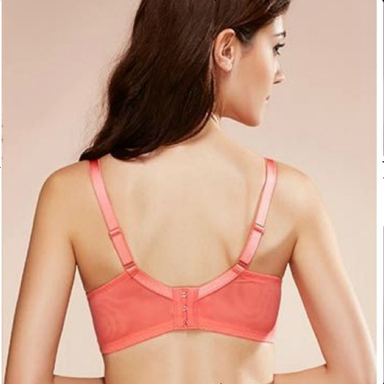 Floral Lace Thin Padded Wired Minimizer Bra