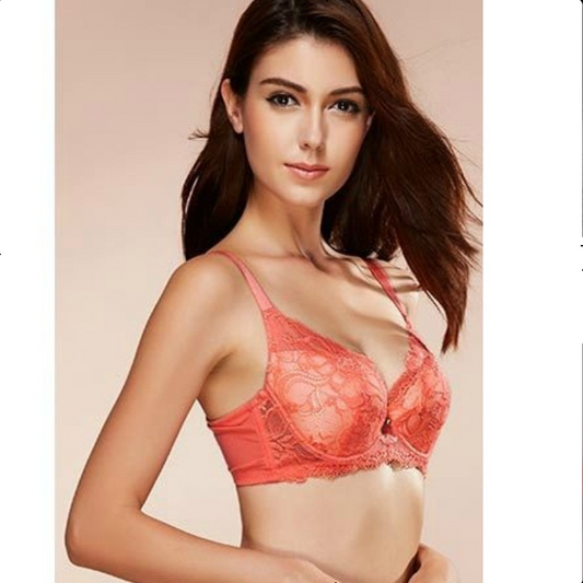 Floral Lace Thin Padded Wired Minimizer Bra