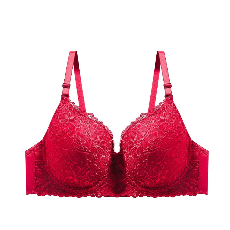 Exquisite Floral Lace Push Up Wired Bra