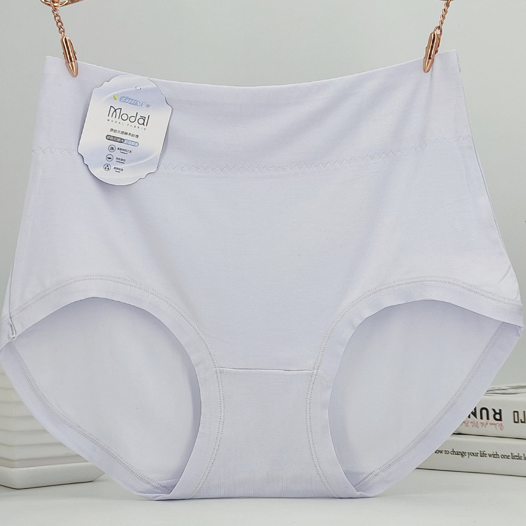 Pack of 2 Simple Designing High Waist Panties